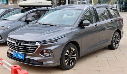 Wuling Victory — 3